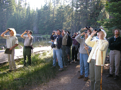 Visitors bird watch on the Early Birds ranger-led walk at Manzanita Lake.