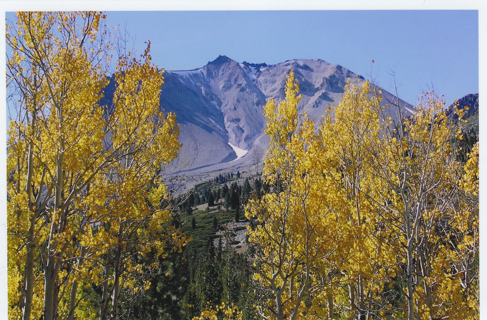 Aspen in fall color with Lassen Peak in the distance