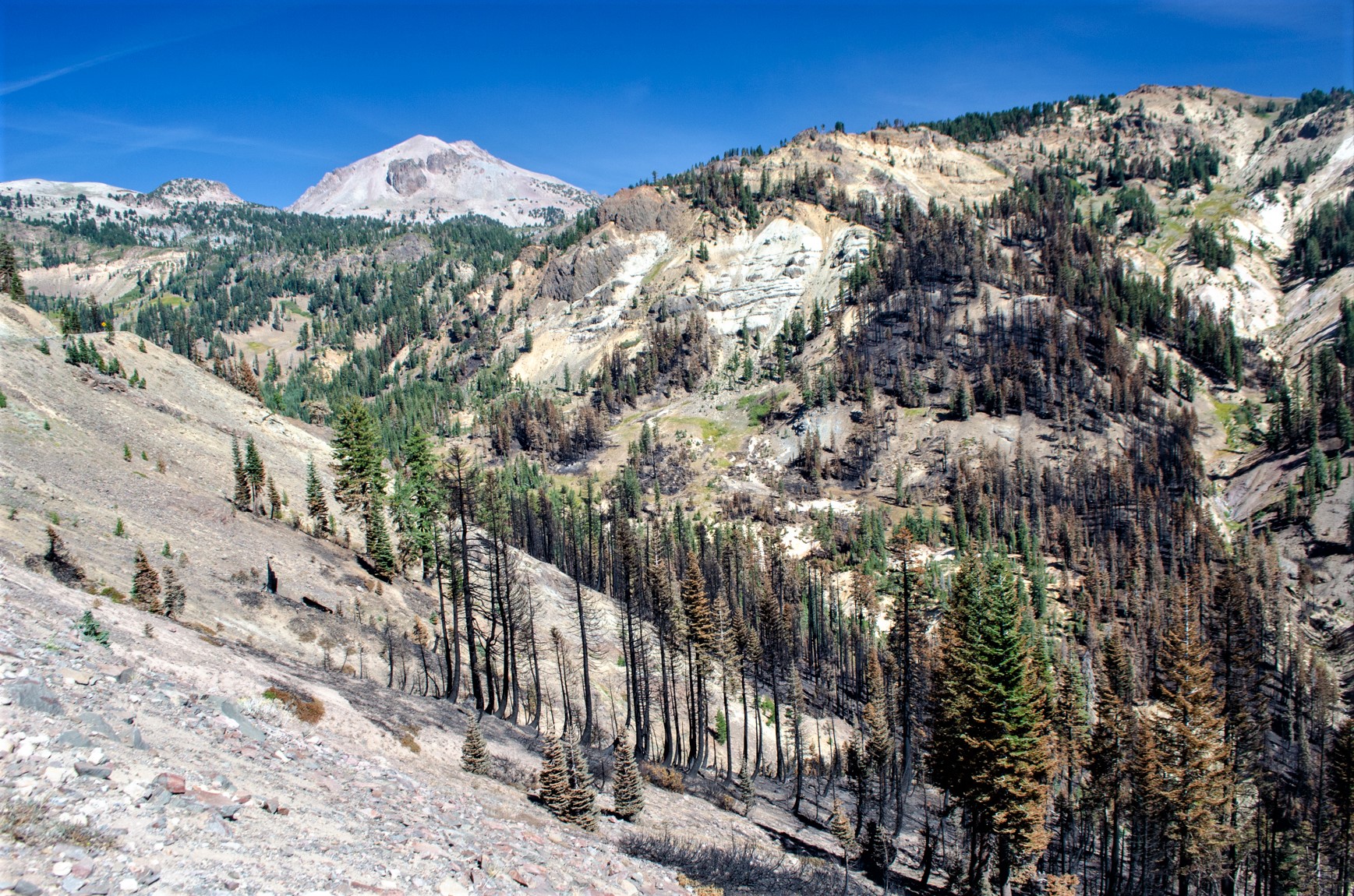 Burned and unburned vegetation on the landscape. Lassen Peak in the distance.