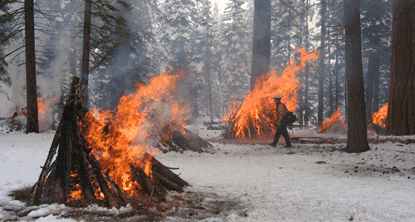 Fire personnel monitor pile burns