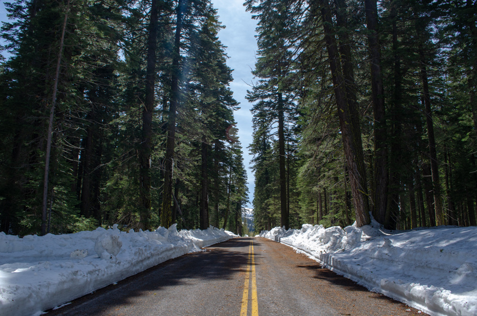 A cleared northwest section of the park highway. A cleared northwest section of the park highway.