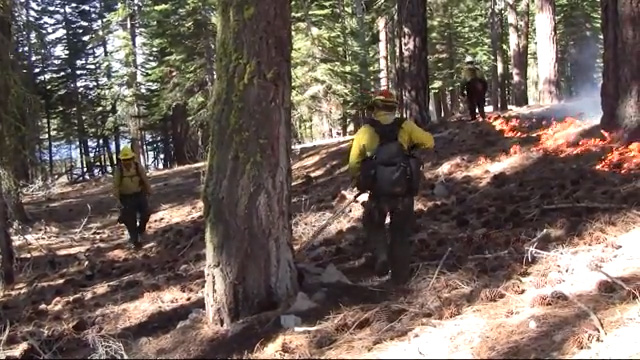 RX fire Park Rangers tending prescribed fire in the forest