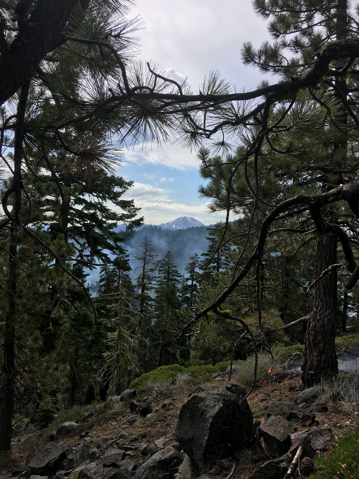 Smoke visible through forest.