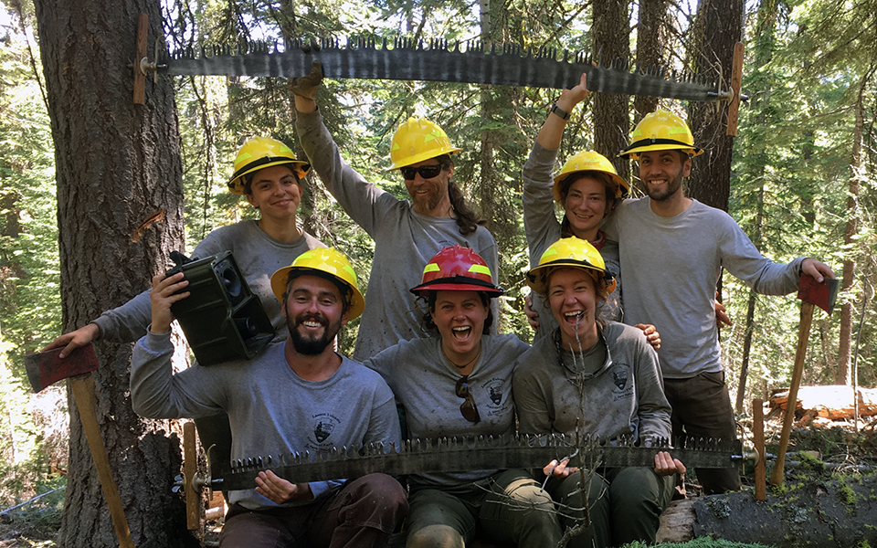 A group of 7 young adults pose holding crosscut saws in a forest