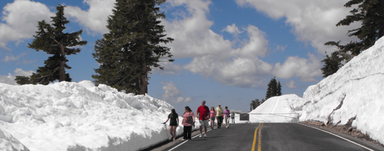 Pedestrians on the vehicle-free park highway