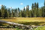 Summit Lake Meadow in Fall Colors