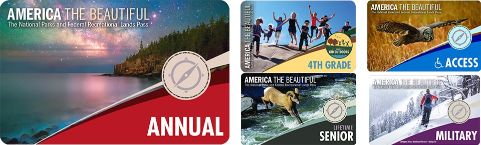 Annual and Lifetime Passes