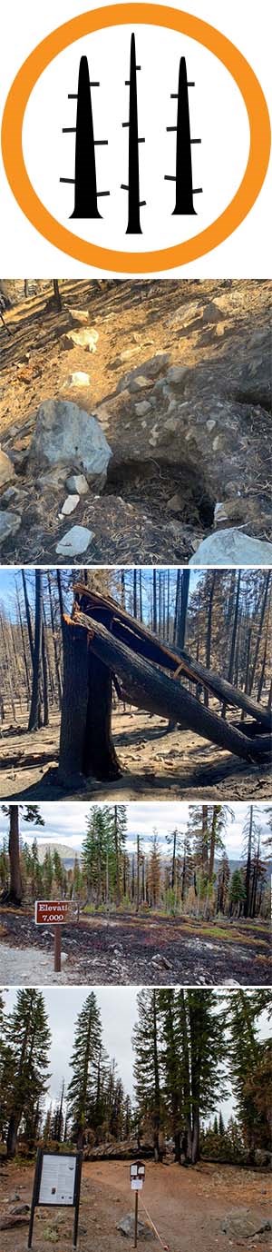Five stacked images top to bottom: burned area warning icon, a burned stump hole, a collapsed burned tree, a burned road sign, and a trailhead with burned trees in the background.