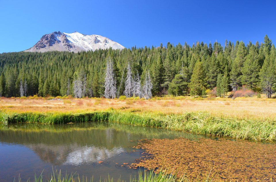 Orange leaves float on a pond backed by green and yellow grasses at the based of a mountain dusted with snow