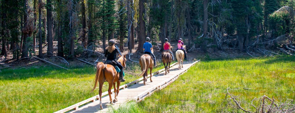 Riders on four horses cross a meadow on a wooden boardwalk.