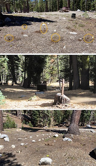 Three stacked photos top to bottom: a campsite with orange circles highlight newly planted vegetation, a campsite covered in woodchips, and a walkway lined by stones.