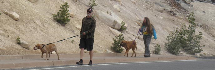 Visitors with leashed dogs at Sulphur Works