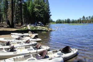 A line of beige kayaks on the edge of a blue lake.