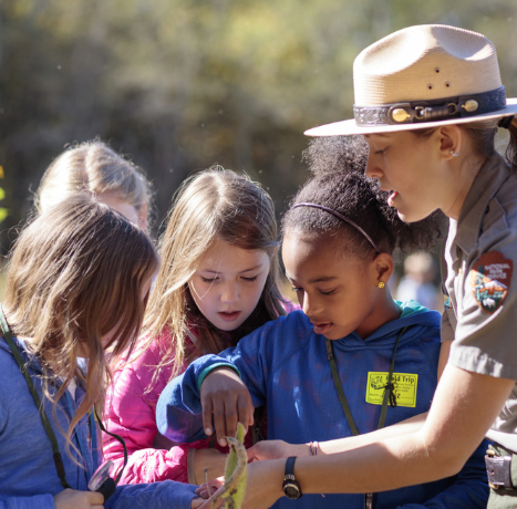 A group of middle school students on a field trip looks closely at something a Park ranger is showing them.