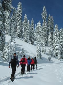 A ranger-led snow walk heads to Sulphur Works.