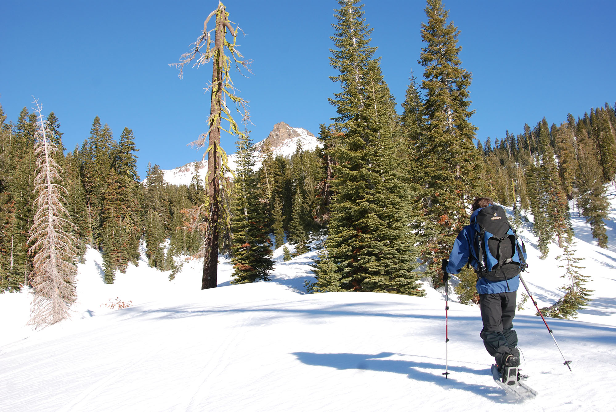winter-routes-sw_1.jpg?maxwidth\u003d650\u0026autorotate\u003dfalse