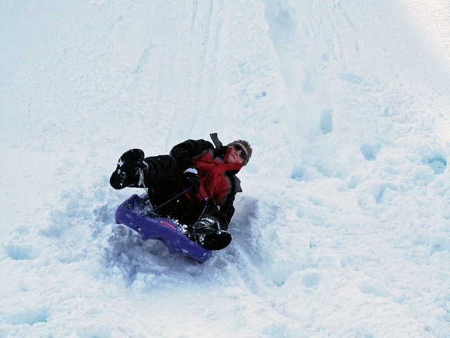 man falling off a sled while moving down a snowy slope
