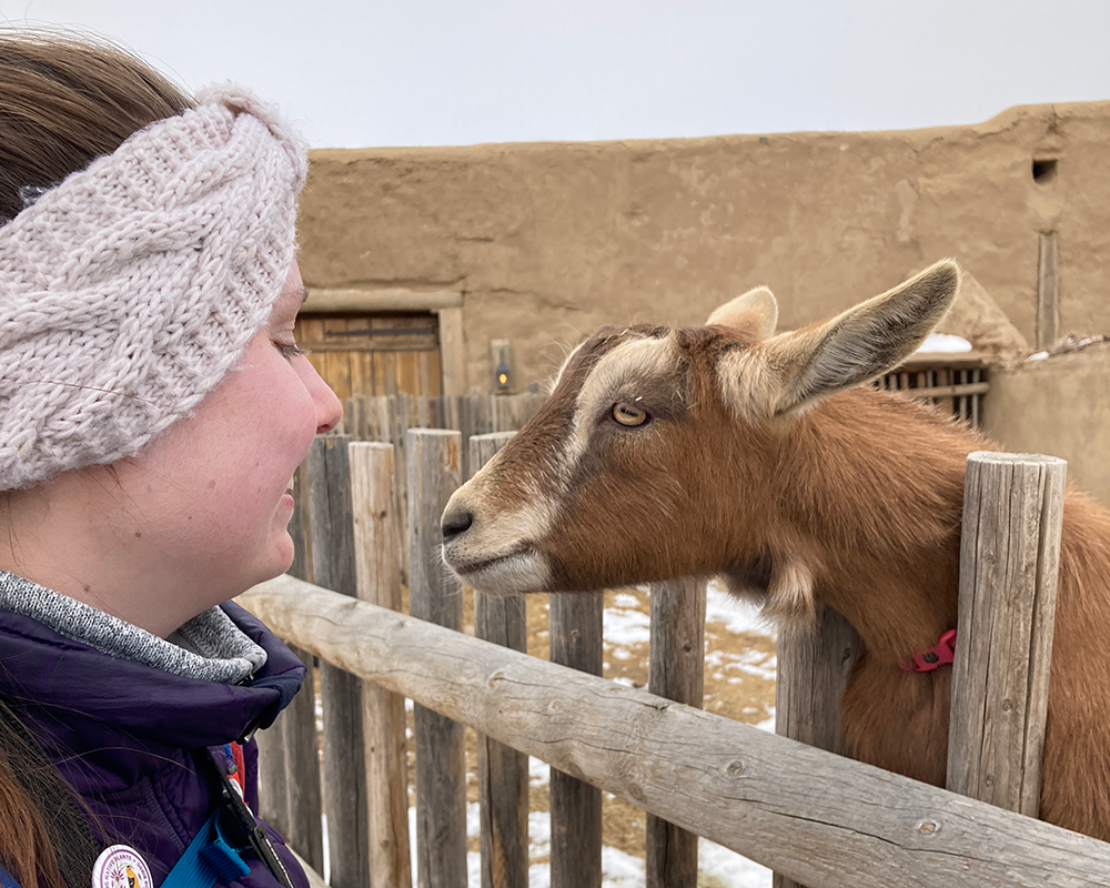 A woman wearing a white headband stands face to face with a small brown goat.