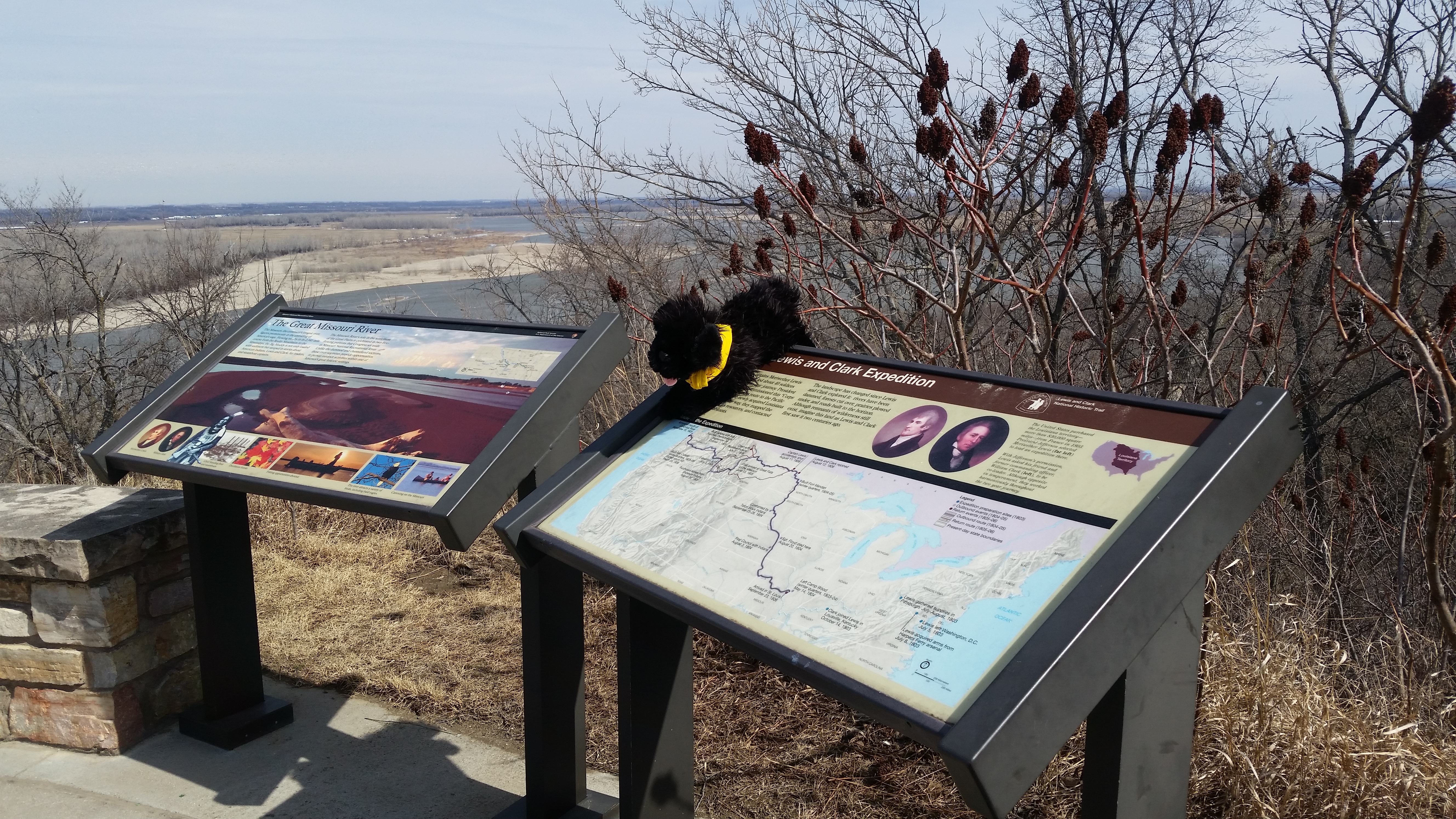 Pup on interpretive sign overlooking river