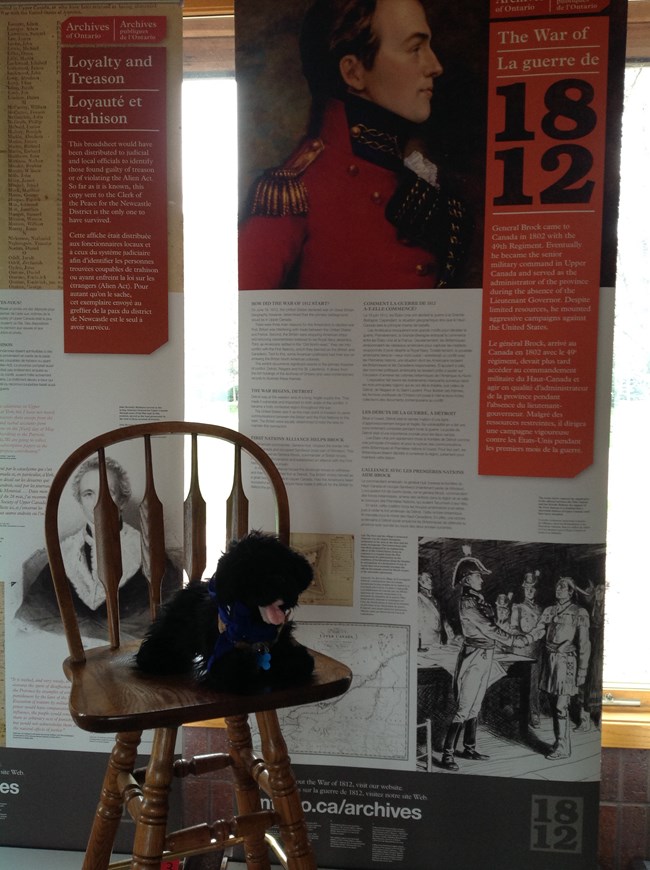 Stuffed animal with 1812 display