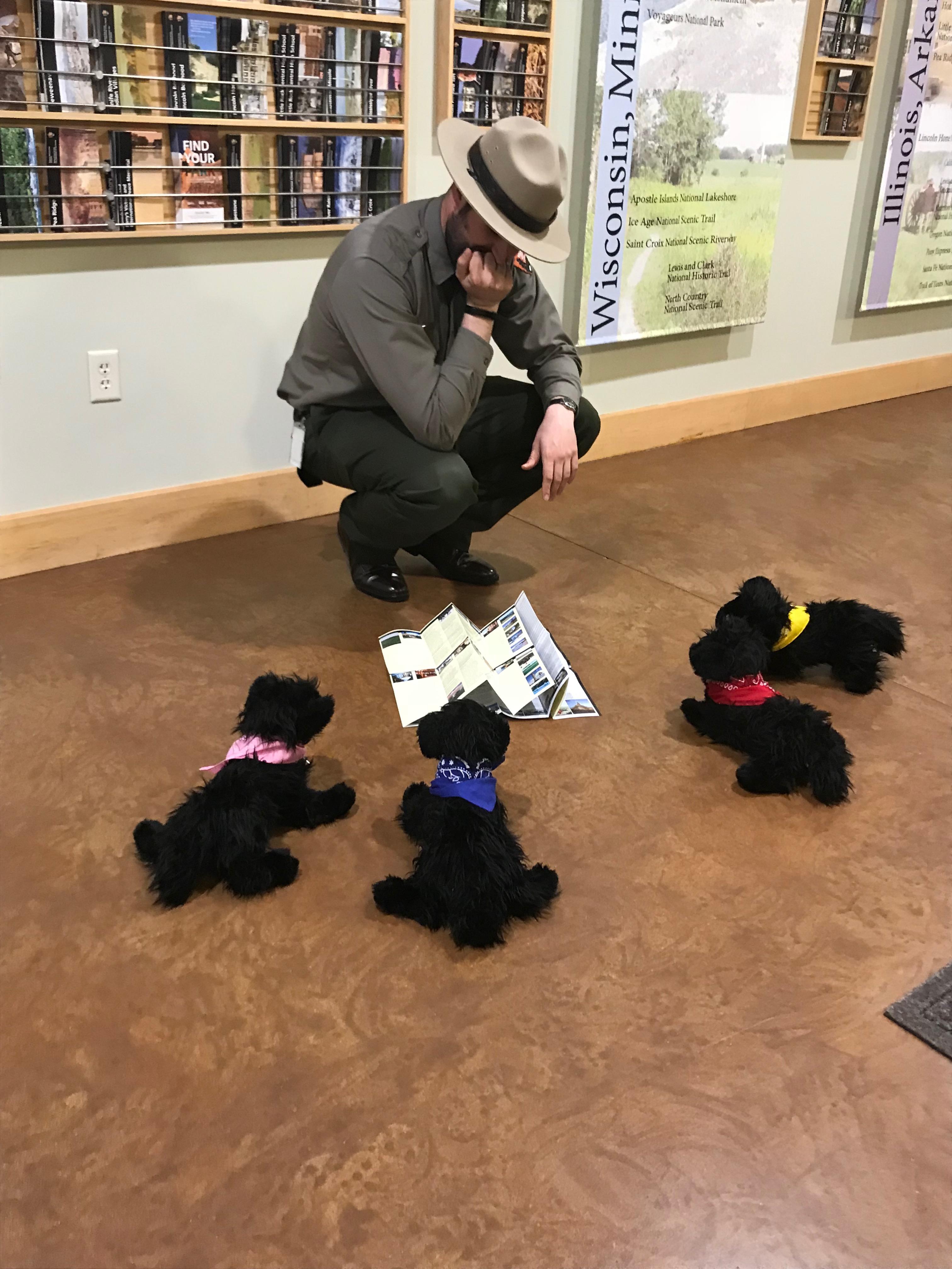 Pups try to fold a brochure on the floor