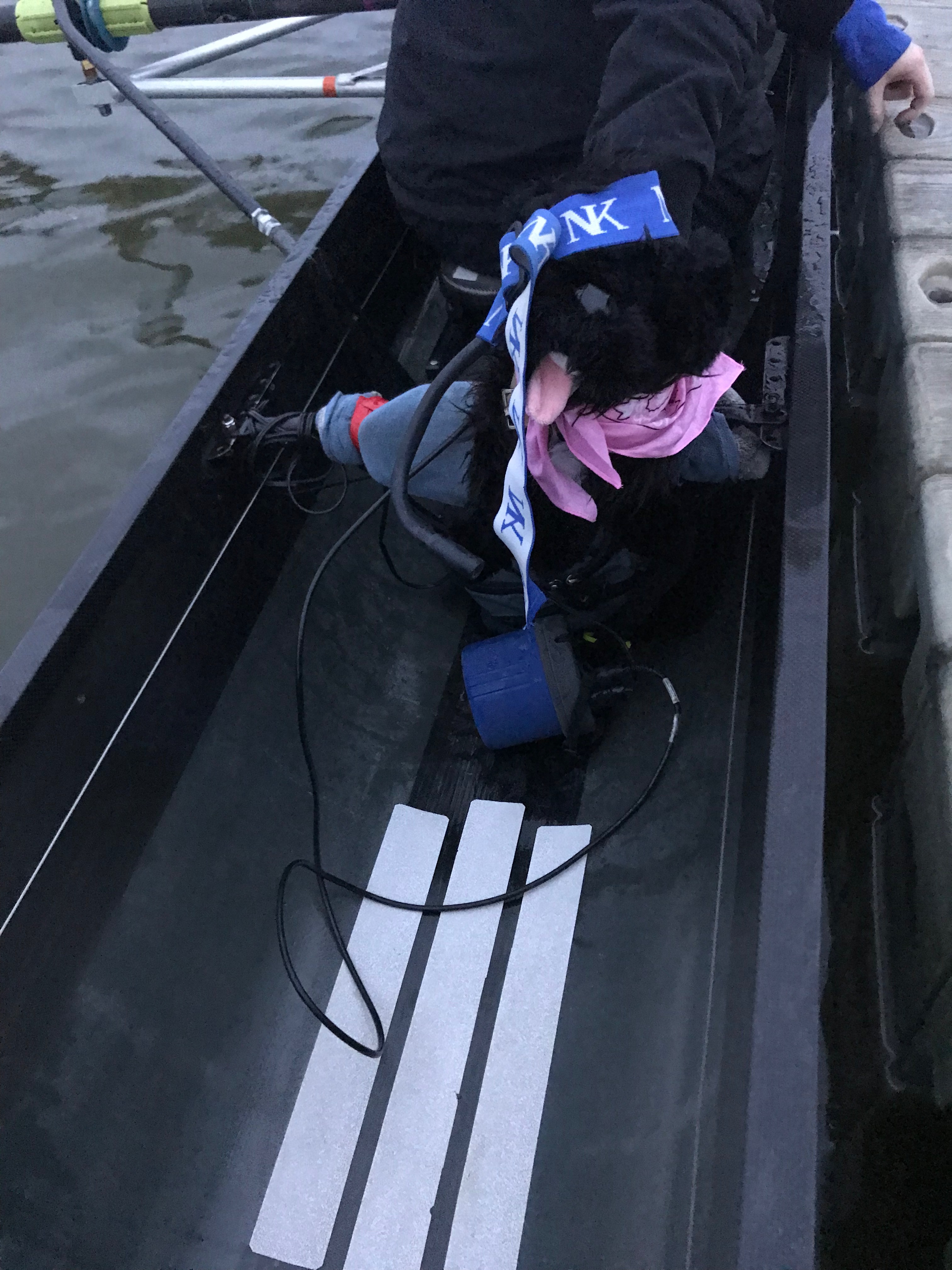 Harper steering the boat pup wearing headset
