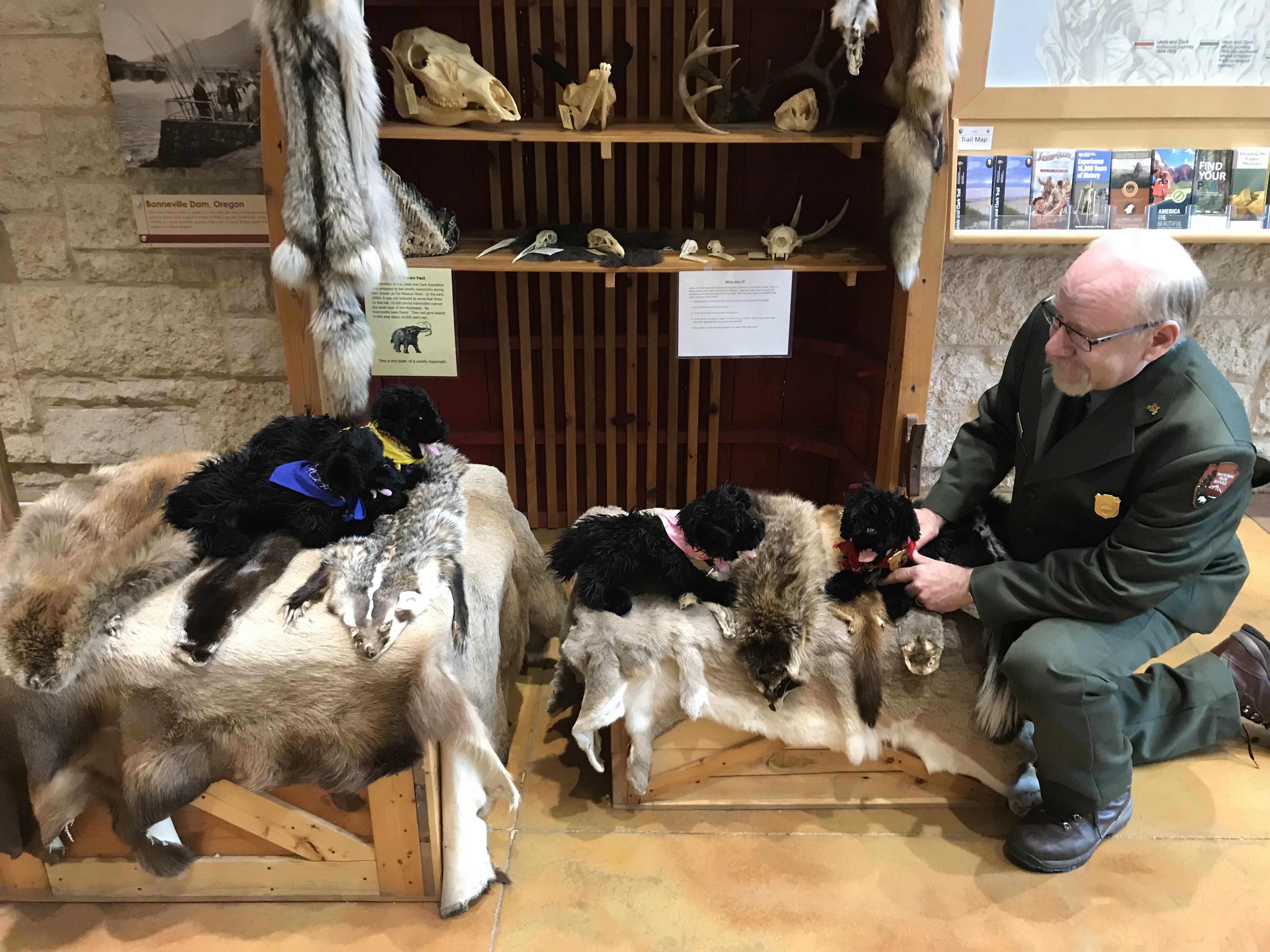 Ranger sitting next to a display