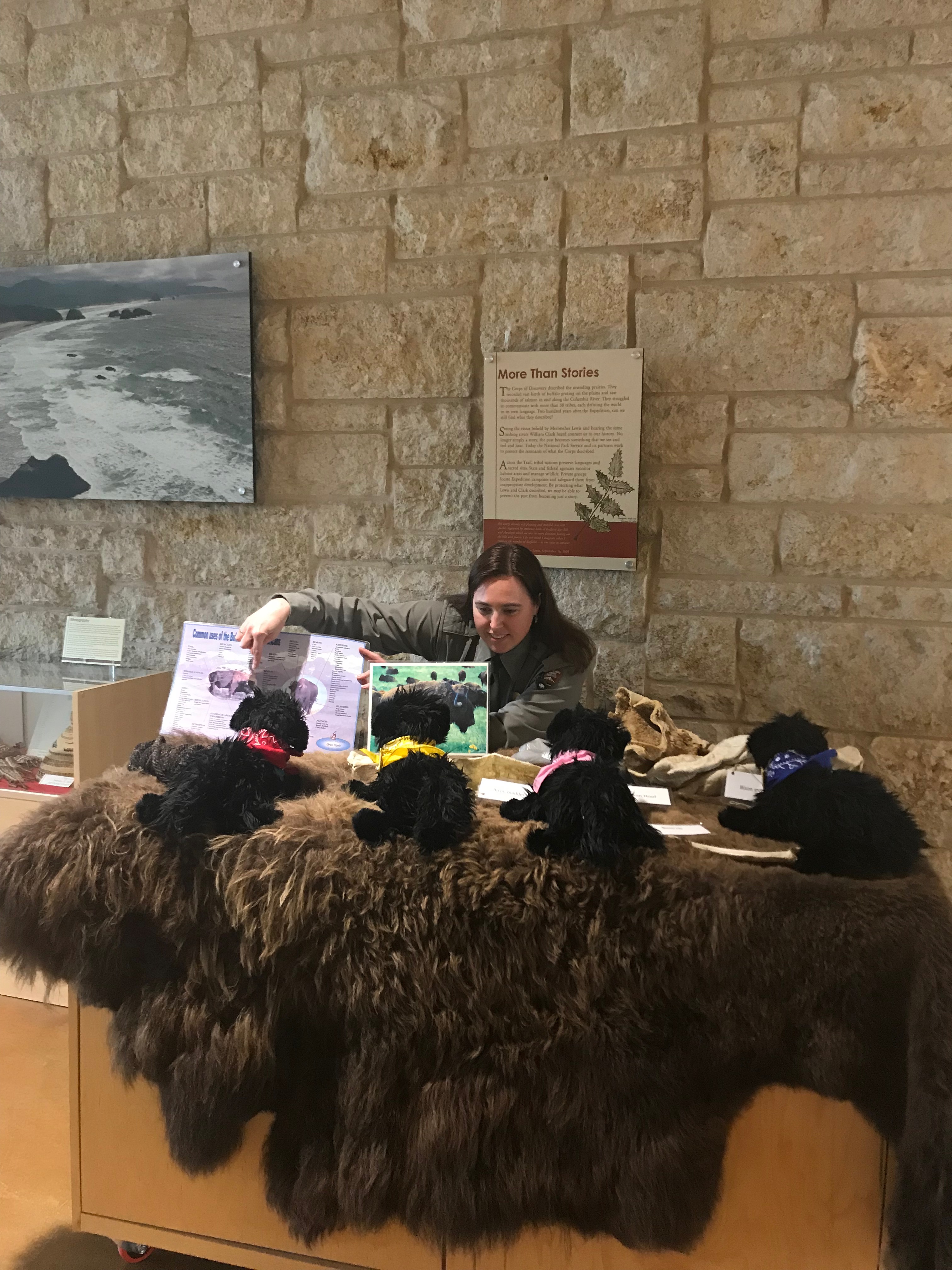 Ranger sitting behind desk showing items to pups