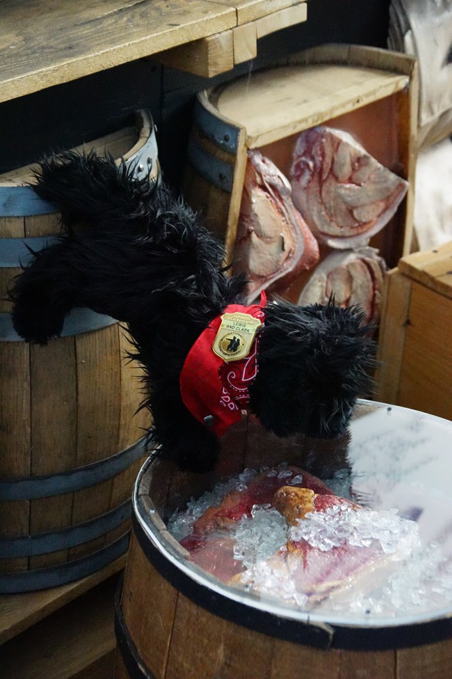 Stuffed pup near keelboat display