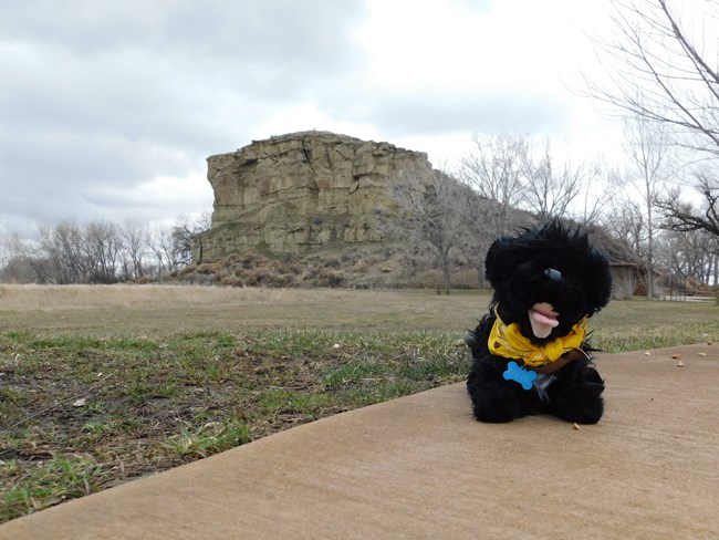 stuffed pup at Pompeys Pillar