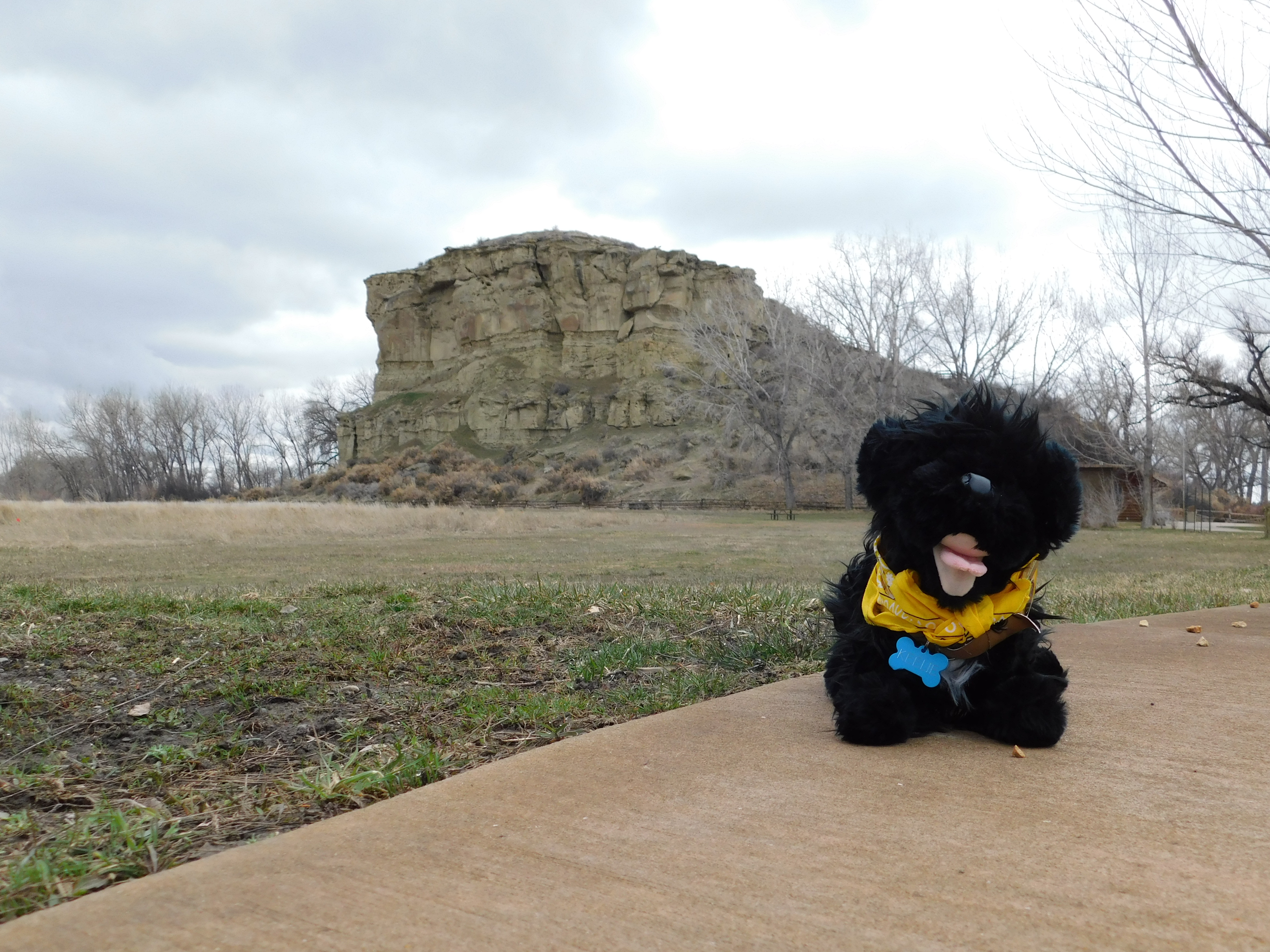 stuffed pup at rock tower