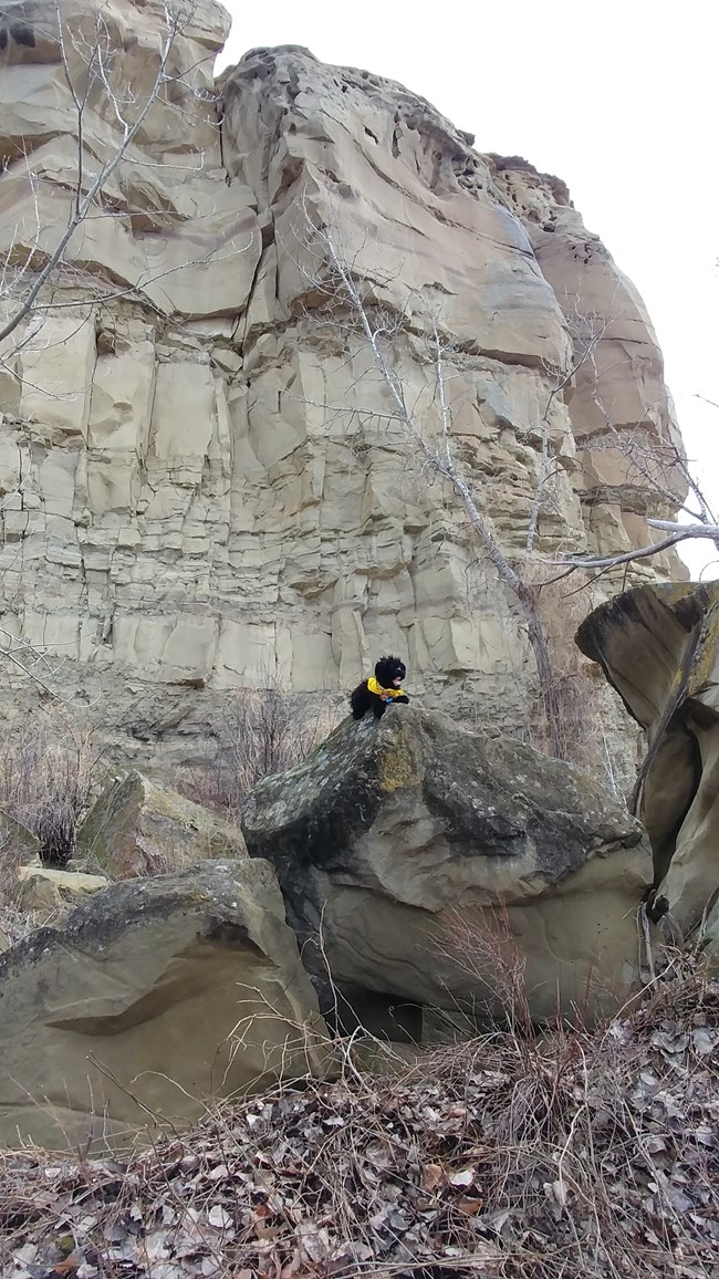 close up of rock tower