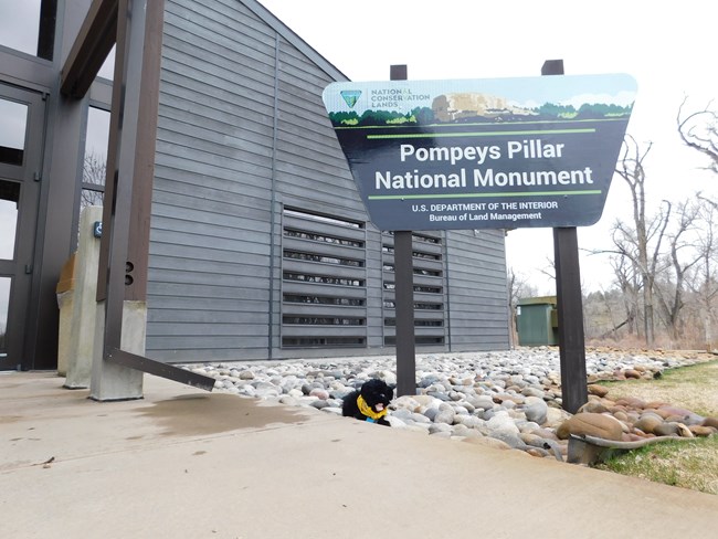 stuffed pup near Pompeys Pillar National Monument sign