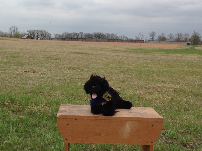 stuffed pup and fort