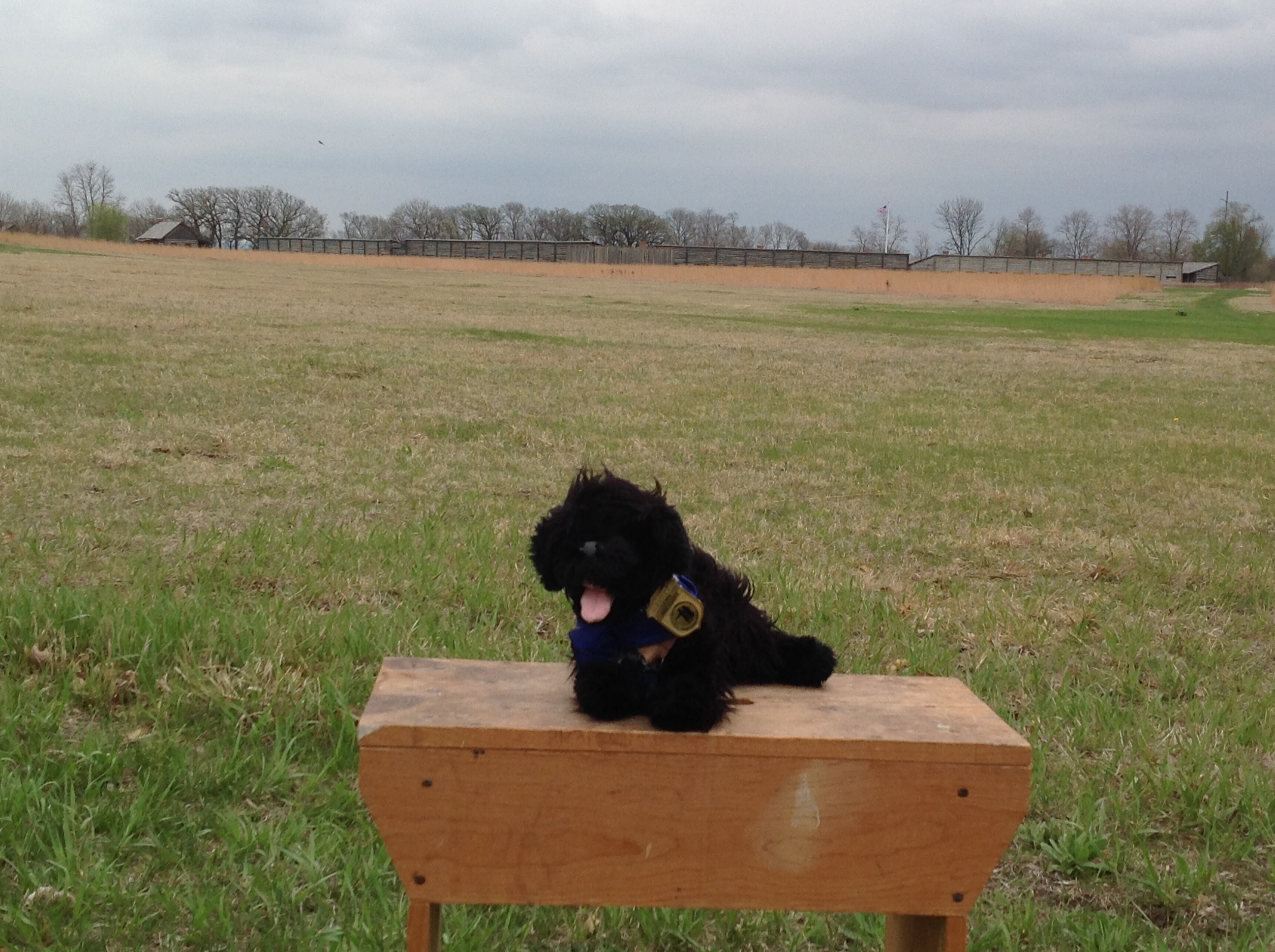 stuffed animal near historic fort