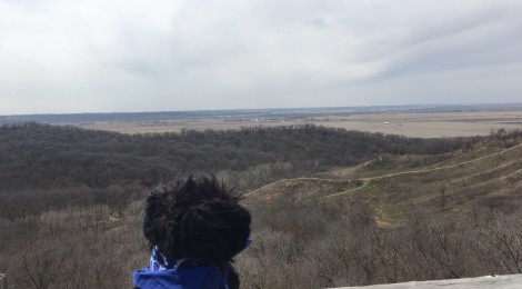 Stuffed dog overlooking river valley