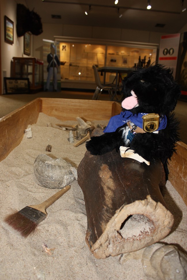 stuffed pup in fossil play area