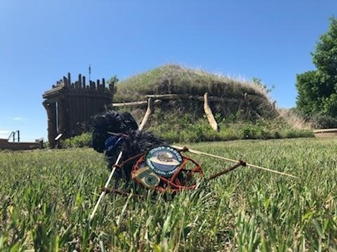 2KNRI toy dog outside near earthlodge