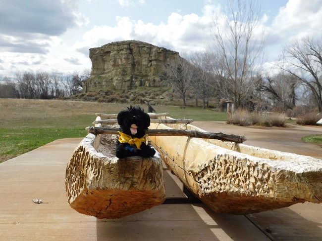 Stuffed dog in canoe