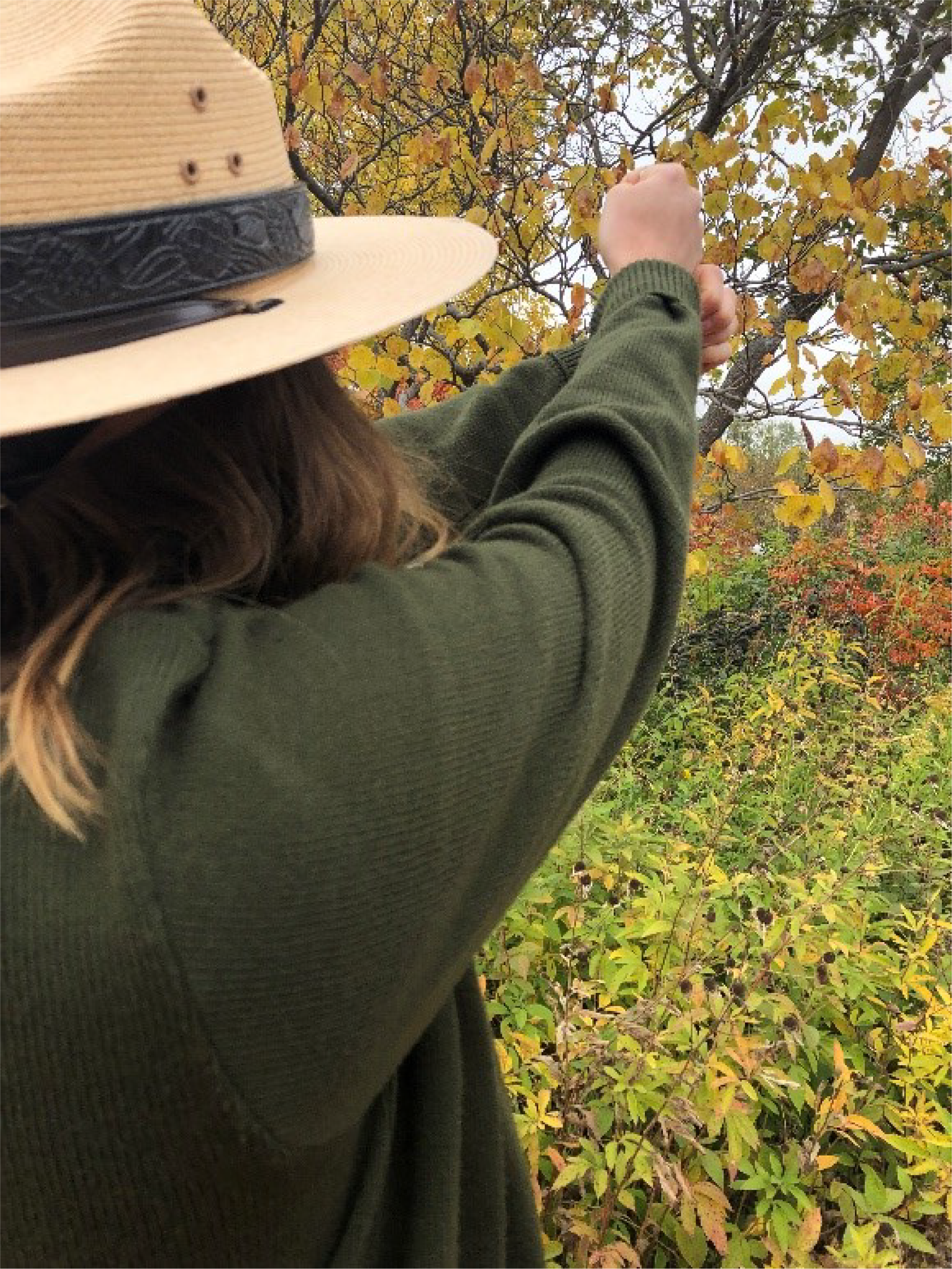 A National Park Service ranger extends both of her arms straight in front of her with one fist on top of the other. Trees with green, yellow and red leaves are in the background.