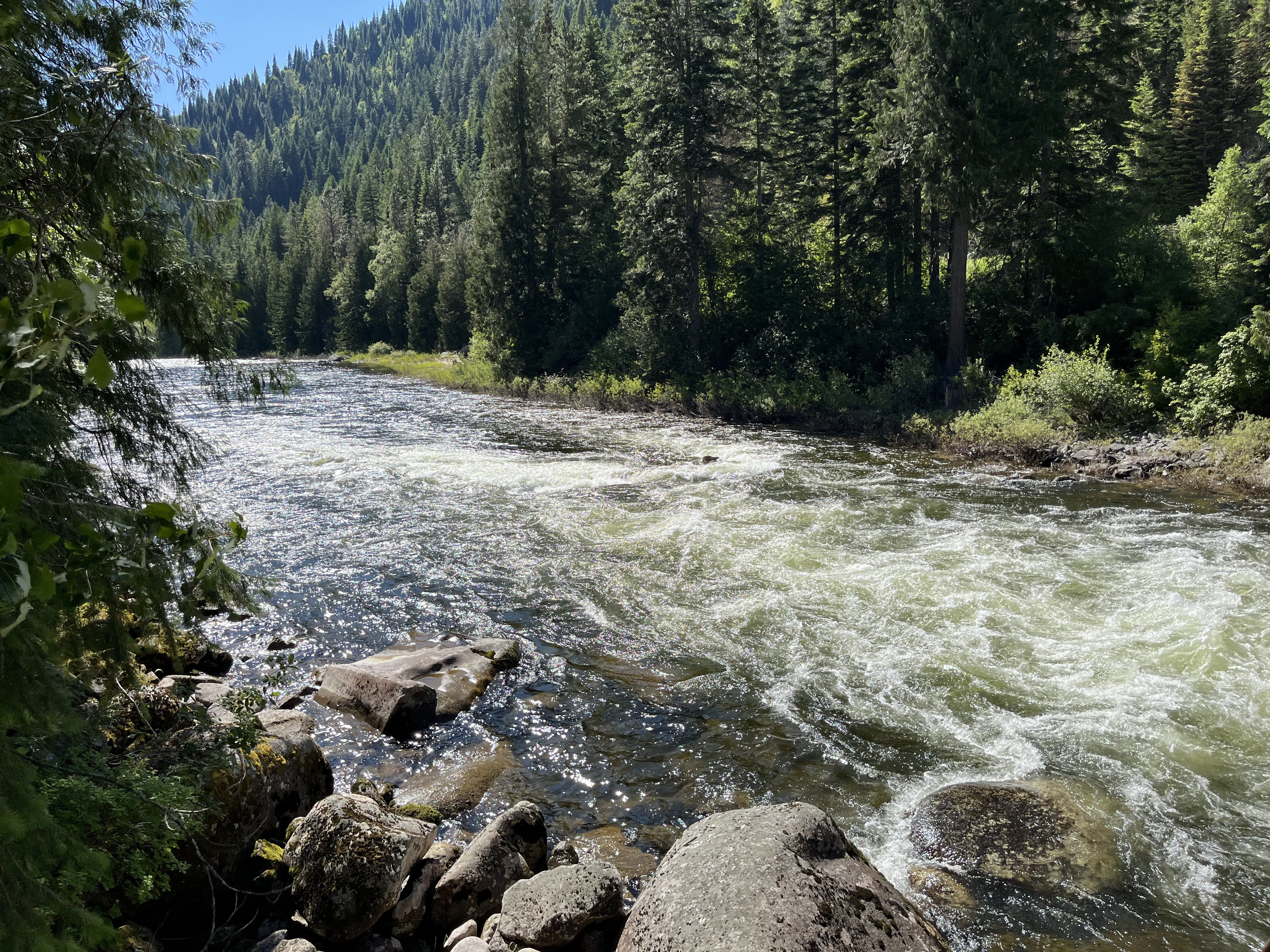 Yellowstone T360.. rushing river with trees on both sides