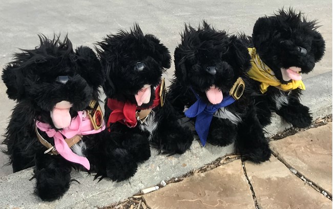 four plush toy dogs
