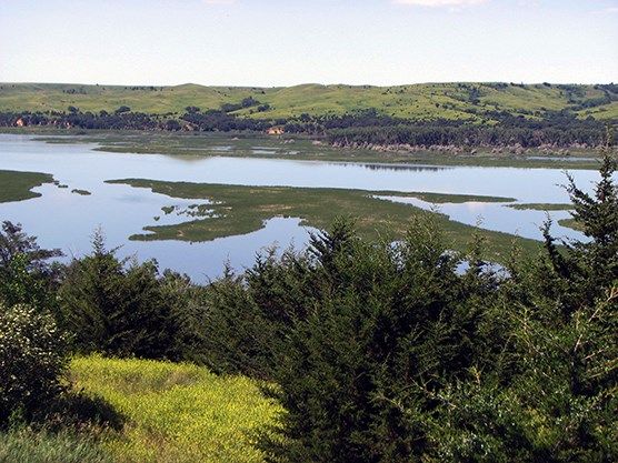 Missouri River at Pierre, South Dakota in its mid-summer greenery