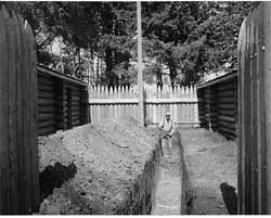schumacher excavation