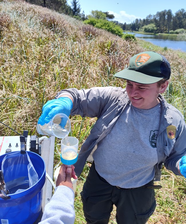 A park ranger wearing blue latex gloves pours water from a cup into a scientific apparatus by the edge of a body of water