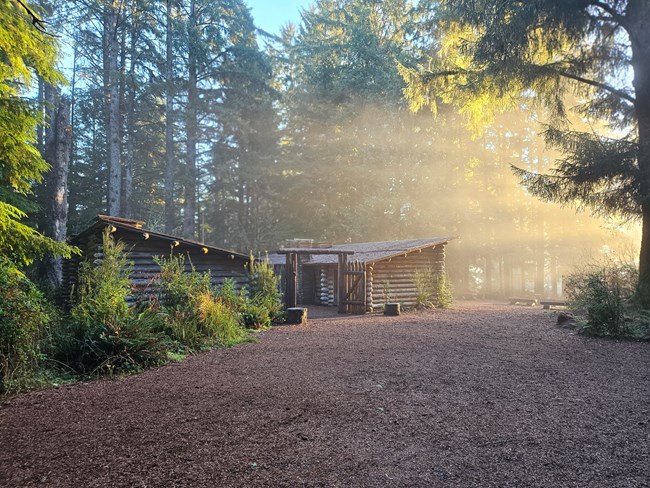 Sun streaming through the trees shining on Fort clatsop