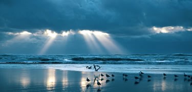 Birds at Sunset Beach