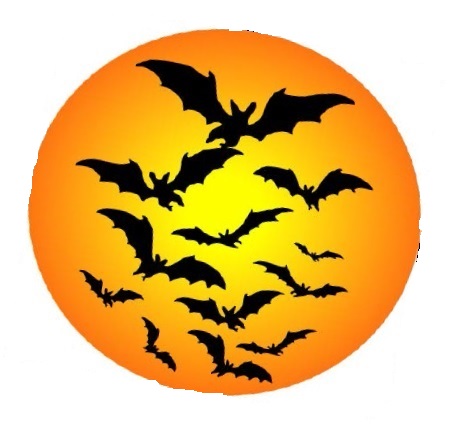 Bats, Spiders, Owls – Oh My! Logo An orange circle with 12 bat silhouettes flying towards the viewer within the circle.