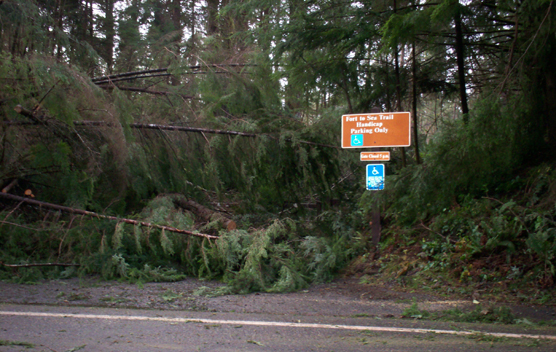 Fallen Trees blocking the Fort to Sea Trailhead at Fort Clatsop