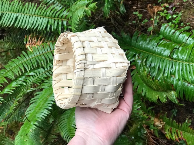 Klahowya basket A small, shallow, rounded hand-woven basket held in a rangers hand with a green fern in the background